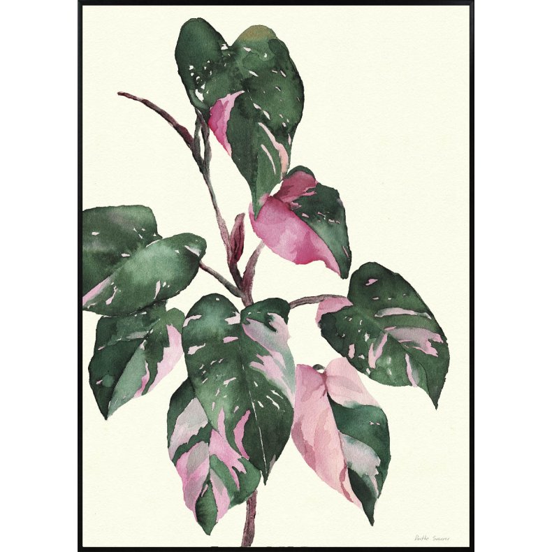 Philodendron Plakat 29,7x42cm