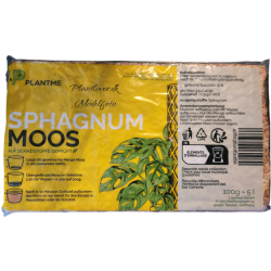 PlantMe Mosspole Maxi � Komplet s�t 80 cm inkl. Sphagnum mos