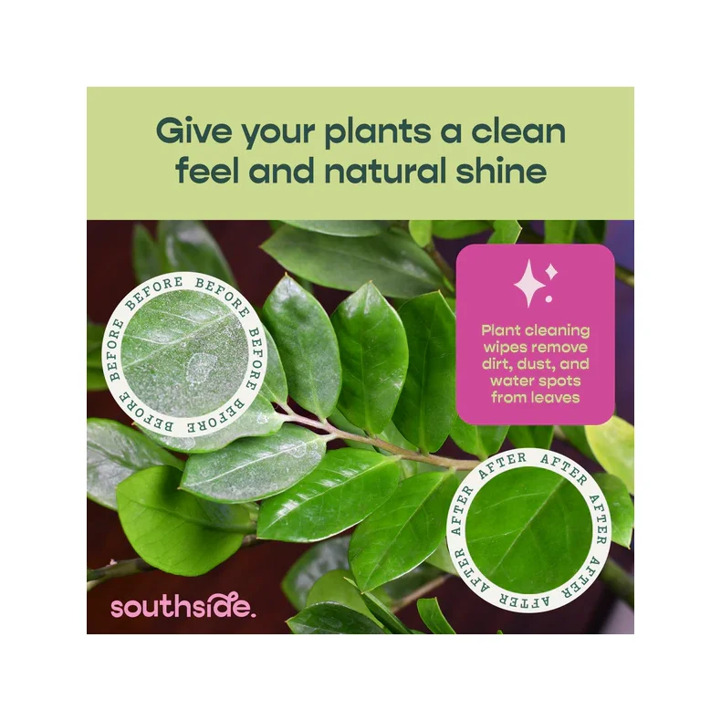 Plante Servietter 80 styk - Southside