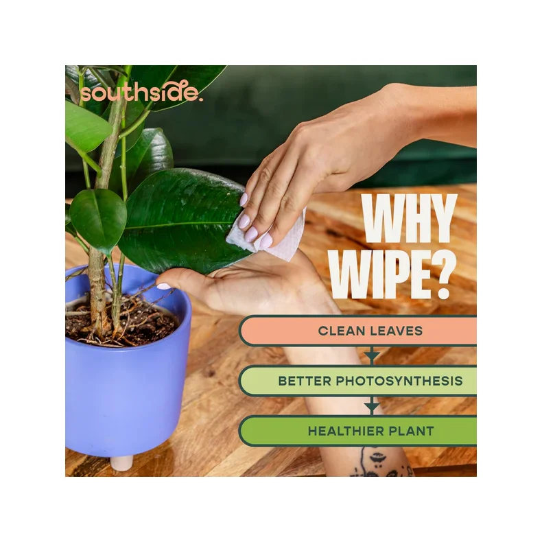 Plante Servietter 80 styk - Southside