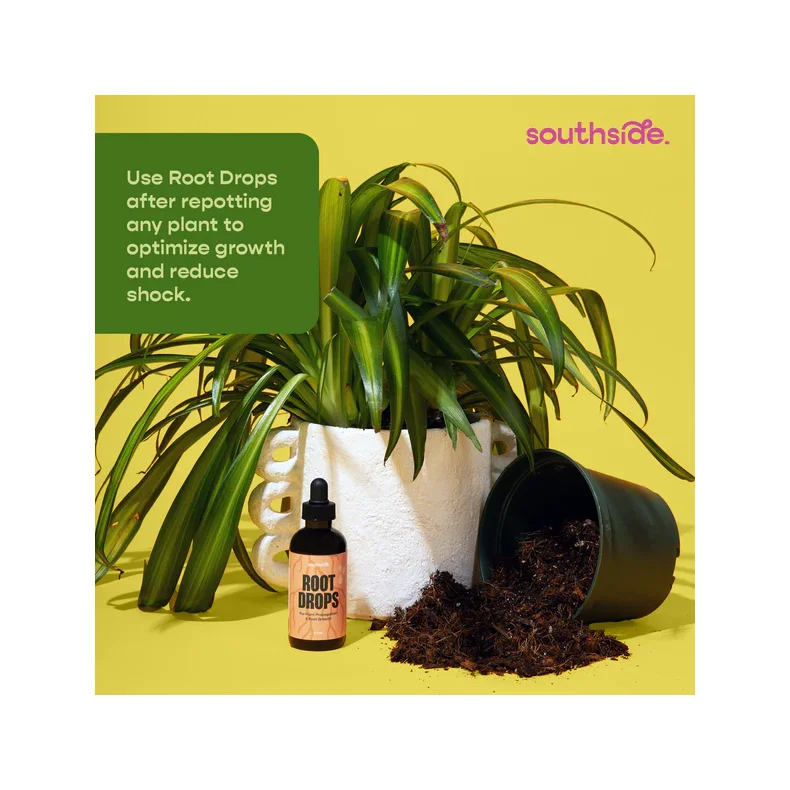 Root Drops - 100ml - Southside