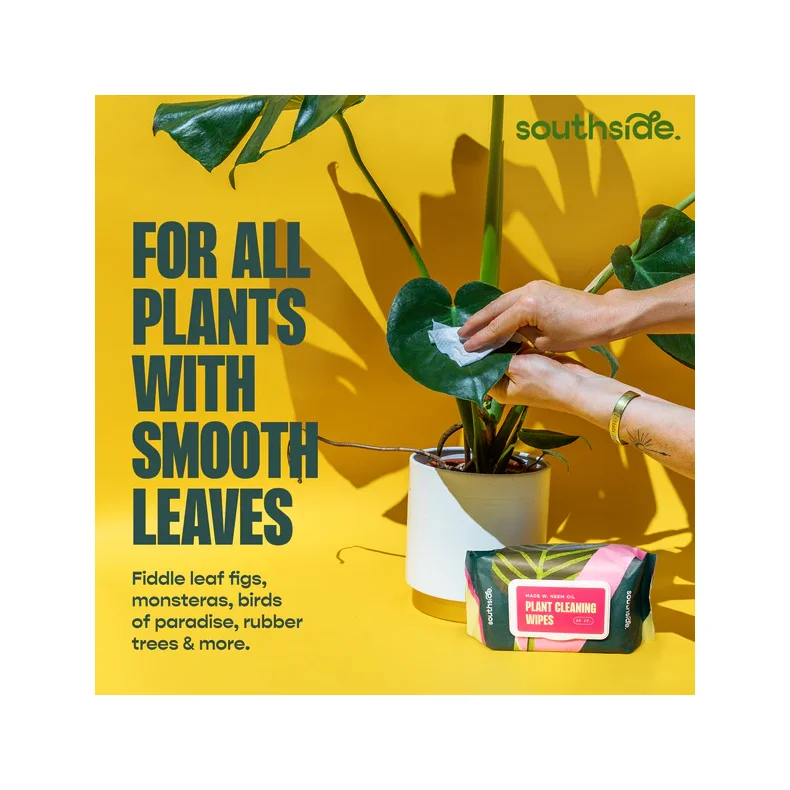 Plante Servietter 80 styk - Southside