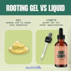 Root Drops - 100ml - Southside