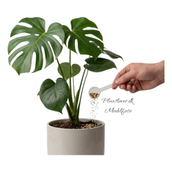 PlantMe Mosspole Maxi � Komplet s�t 80 cm inkl. Sphagnum mos