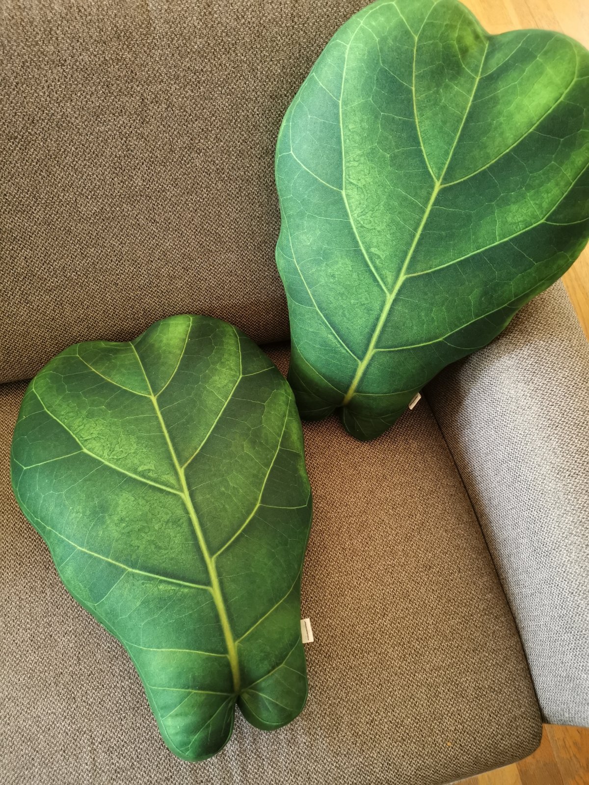 Fiddle Leaf Fig Pude Puder Enjoy Pillows Plant Lover