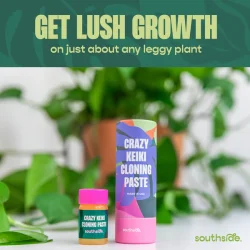 Keiki Paste 7ml - Southside