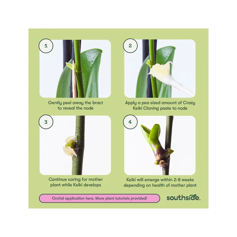 Keiki Paste 7ml - Southside