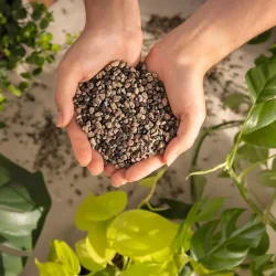 LECHUZA-PON - 6 Liter