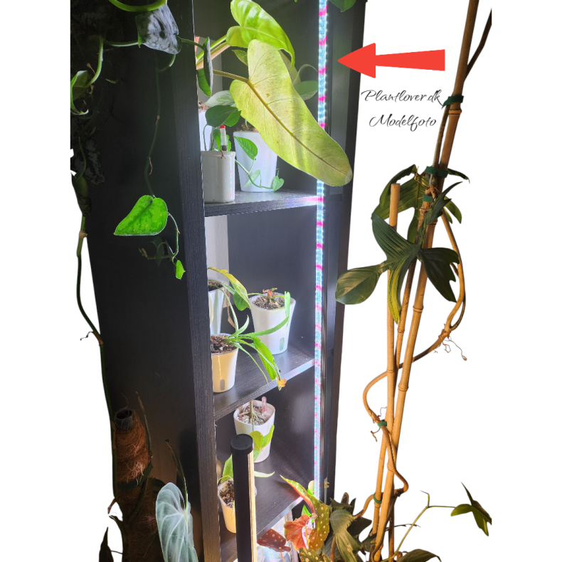 LED Lys 140cm - Lodret fuld spectrum