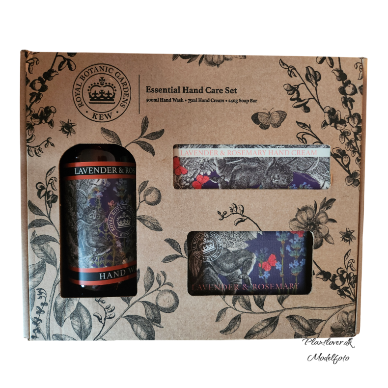 Lavendel &amp; Rosmarin - Gave�ske