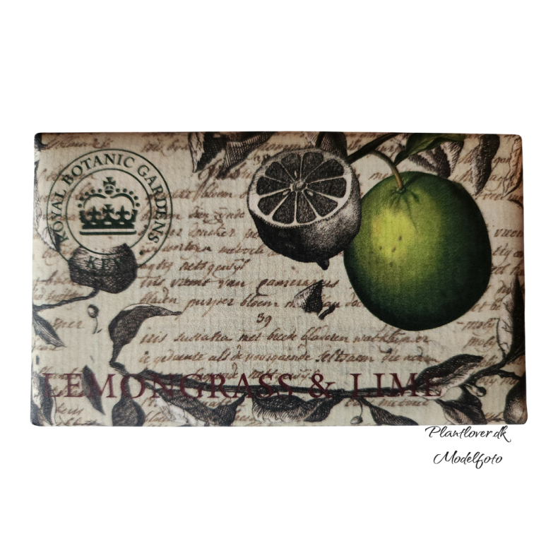 Citrongr�s &amp; Lime Luksus S�be 240g