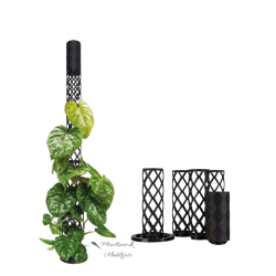PlantMe Mosspole Maxi � Komplet s�t 80 cm inkl. Sphagnum mos