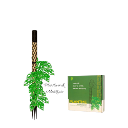 PlantMe Mosspole Midi � Komplet s�t 70 cm inkl. Sphagnum