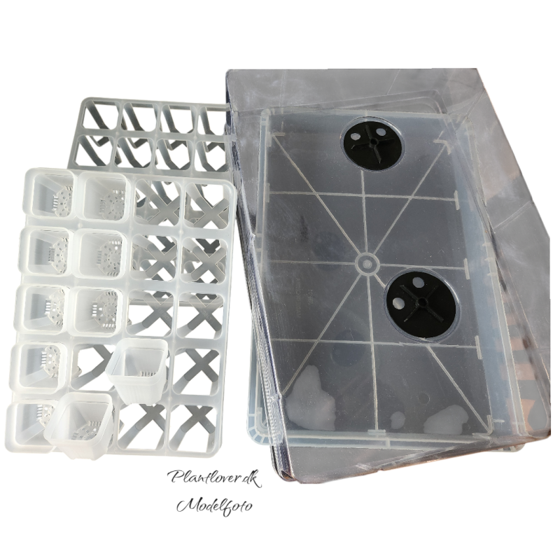 Plante box 40 rum