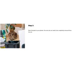 LECHUZA-PON - 6 Liter