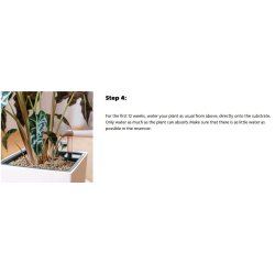 LECHUZA-PON - 6 Liter