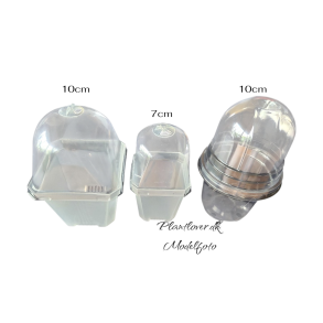 Plante pleje potte med lg